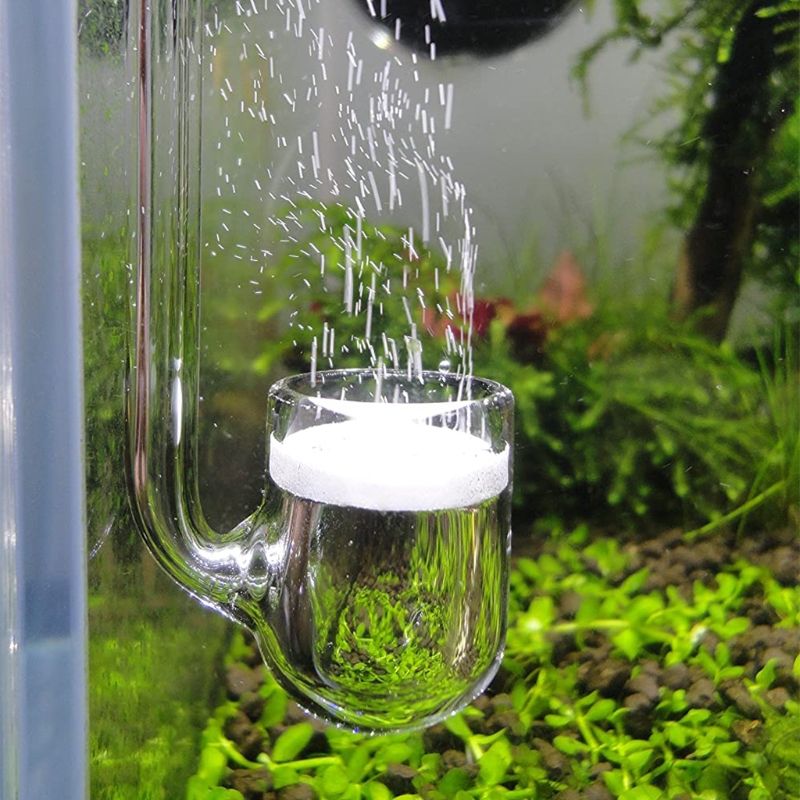 Aquarium Marine Plants - D0AD Glass CO2 Diffuser for Aquarium,