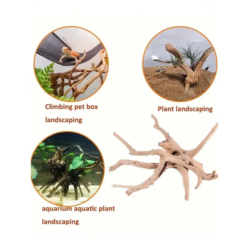 Natural Driftwood for Aquarium - Aquarium Innovative Marine recension och pris