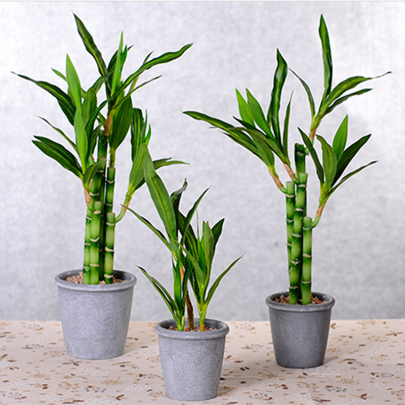 New 40cm Artificial Lucky Bamb - Aquarium Marine Plants recension och pris