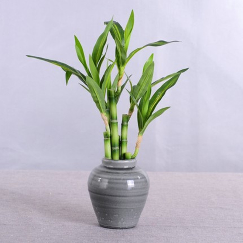 New 40cm Artificial Lucky Bamb - Aquarium Marine Plants recension och pris