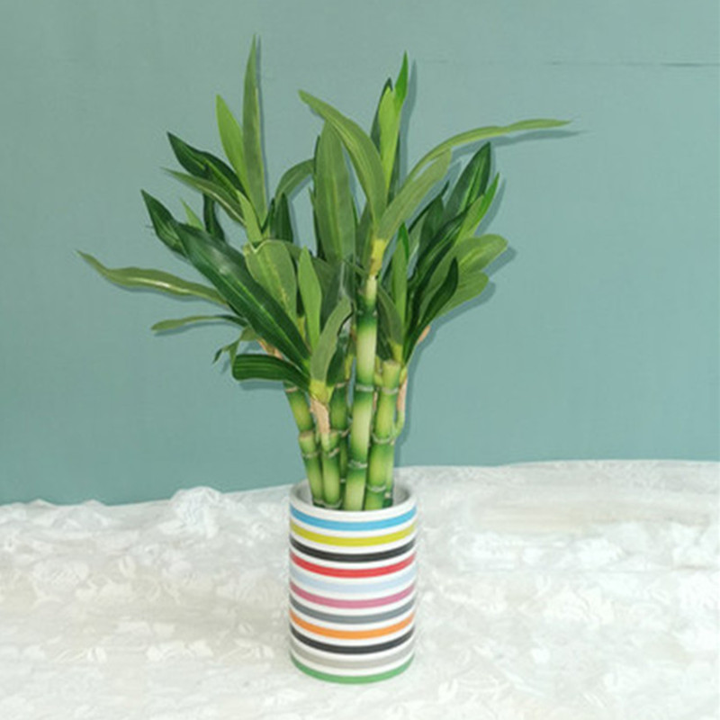 New 40cm Artificial Lucky Bamb - Aquarium Marine Plants recension och pris