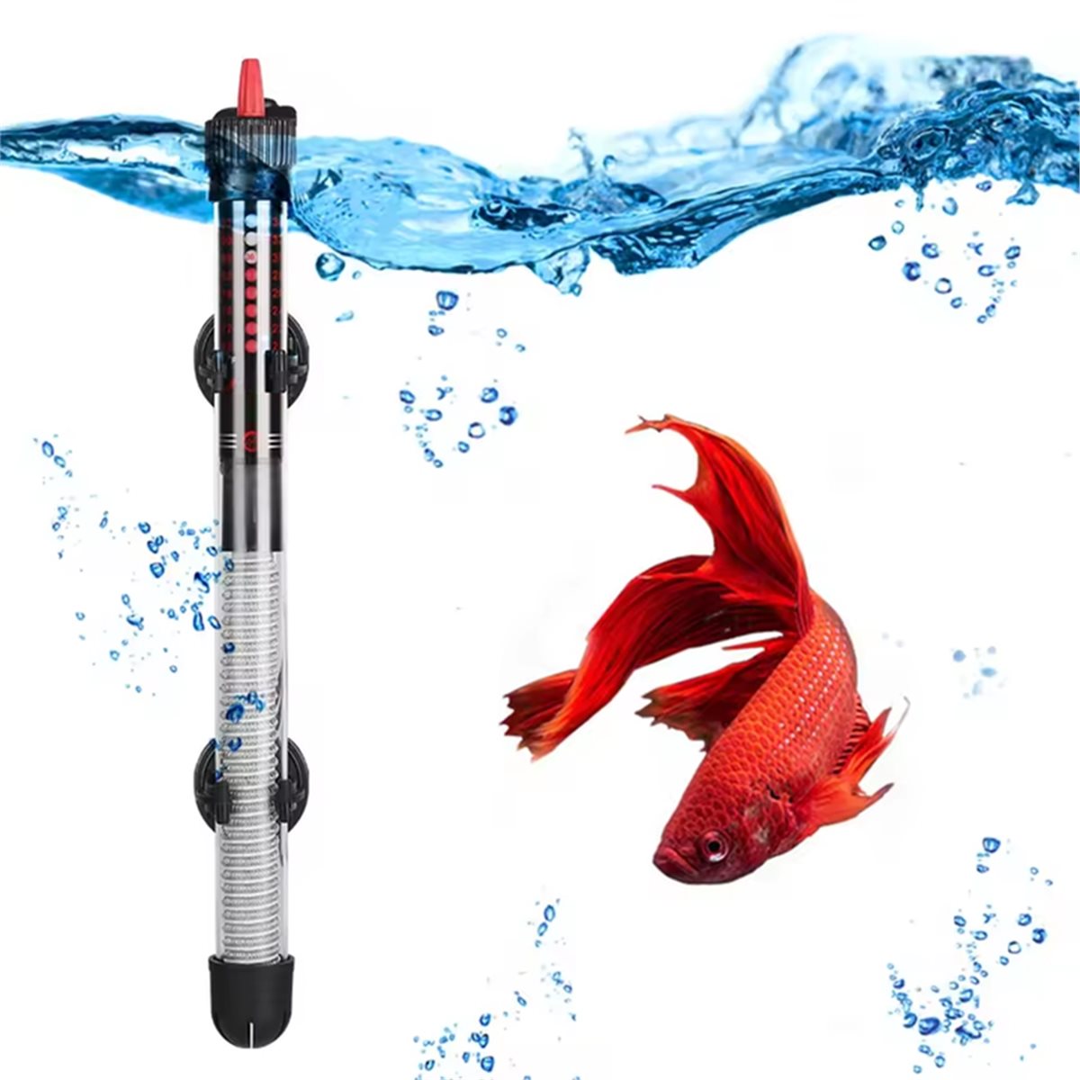 (A02R] Submersible Aquarium He - Aquarium & Marine Museum Universiti Malaysia Sabah Kota Kinabalu Sabah Reviews recension och pris