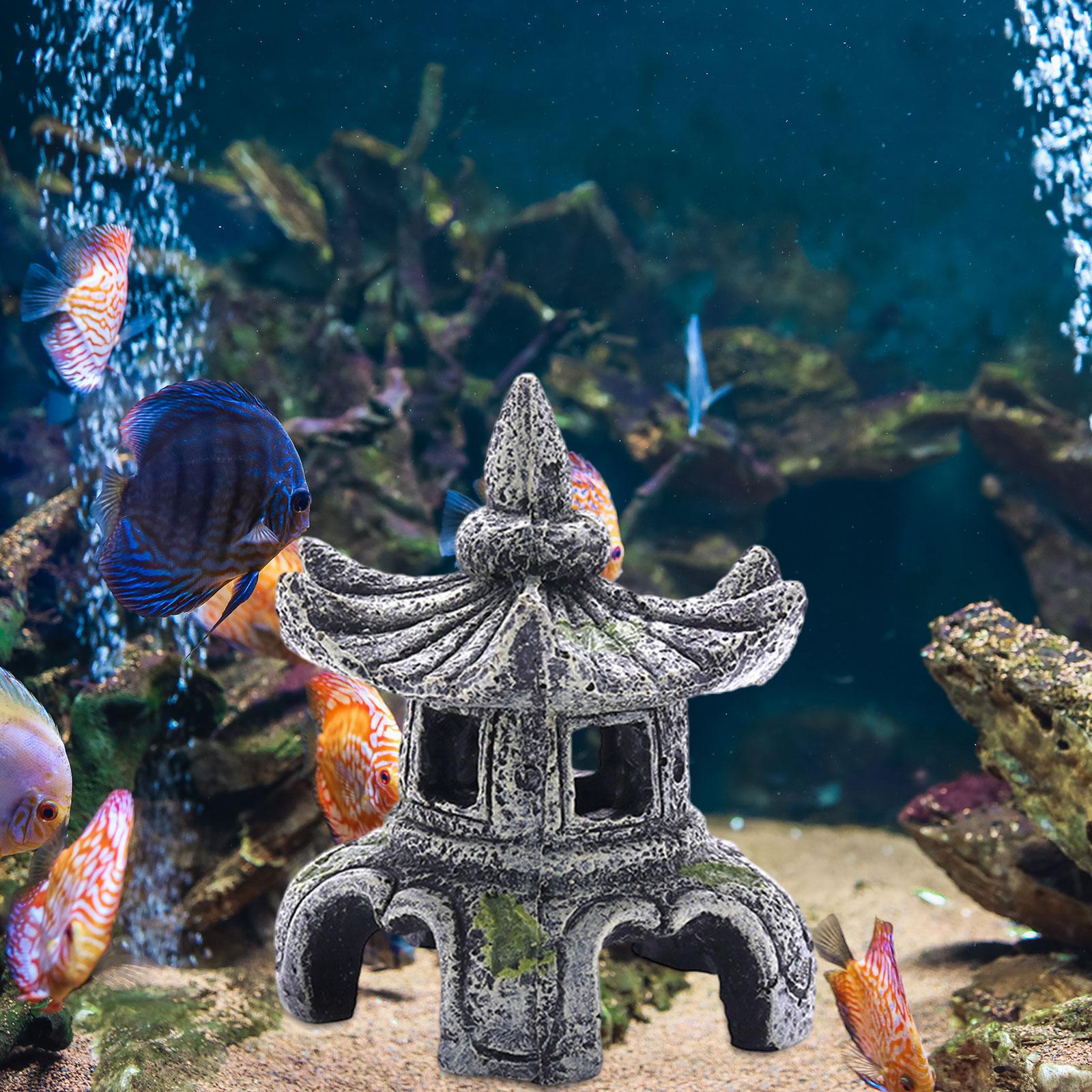 Aquarium Ornament Aquarium Acc - Aquarium Innovative Marine recension och pris