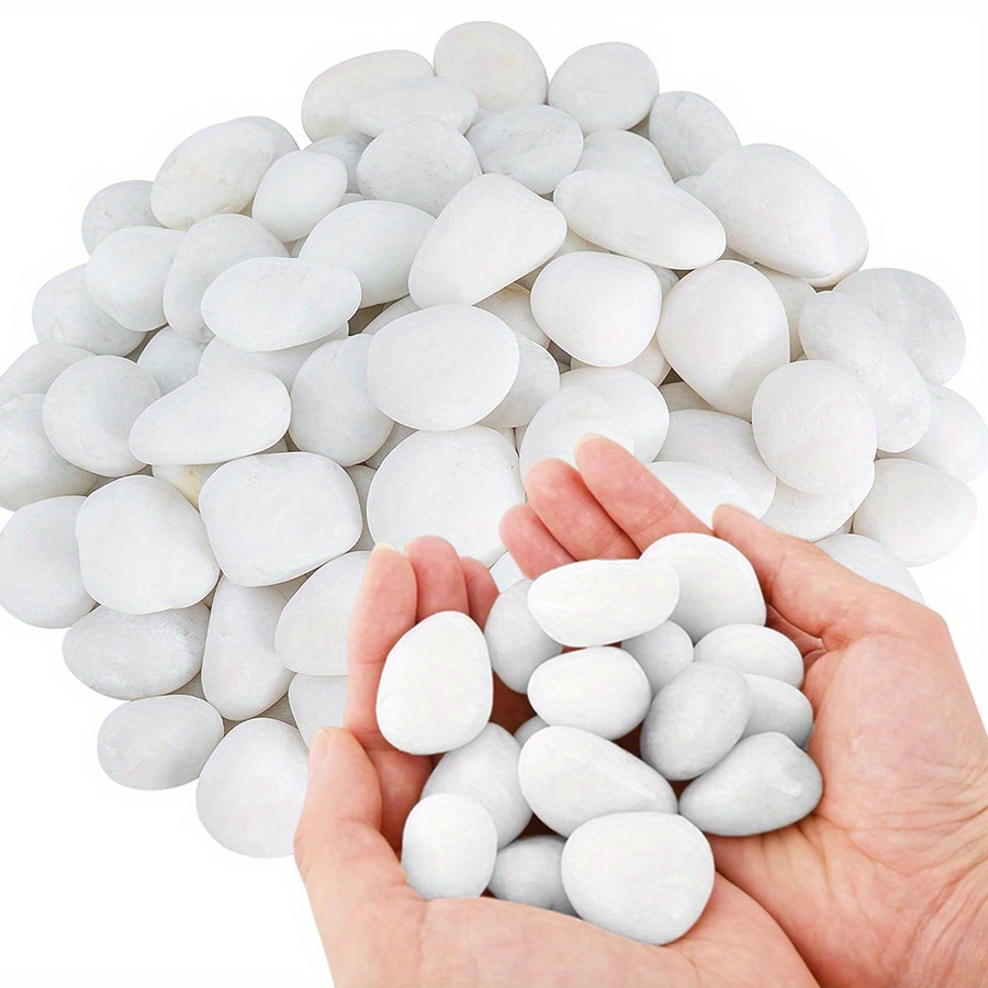 200/400g White High Polished N - Aquarium Marine Plants recension och pris