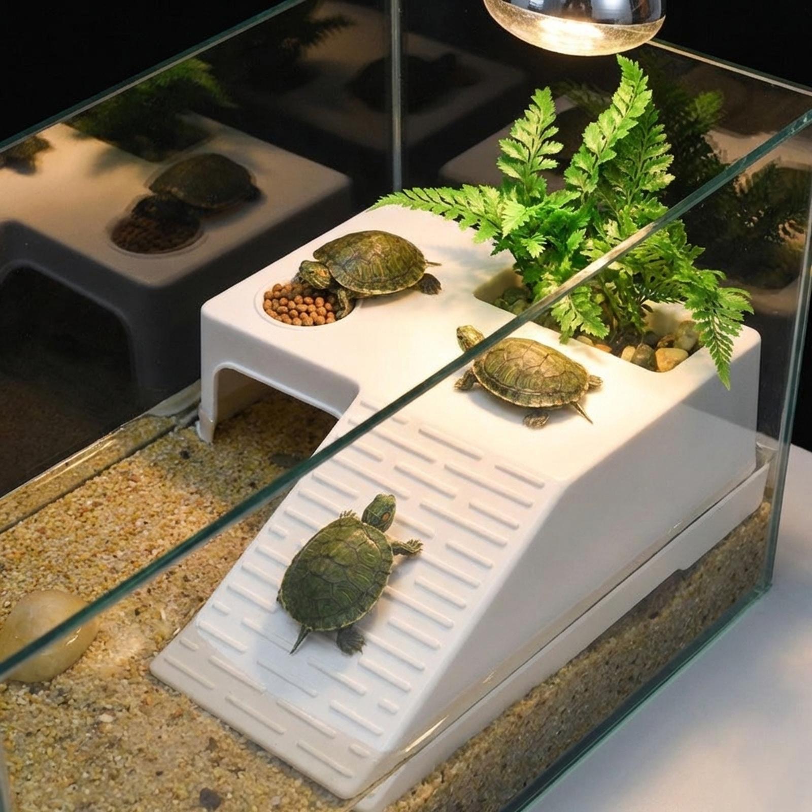 Turtle Resting Basking Platfor - Aquarium Innovative Marine recension och pris