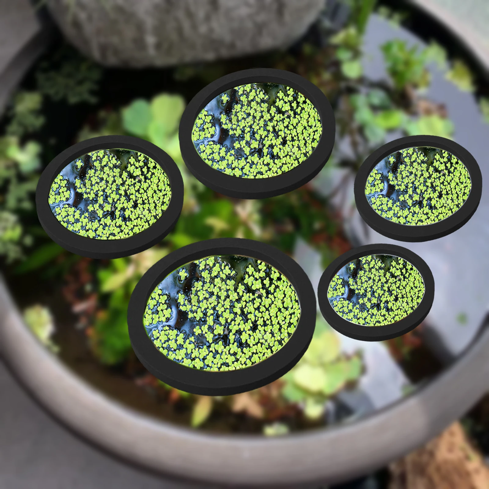 5Pcs EVA Fish Feeding Ring Aqu - Aquarium Marine Plants recension och pris