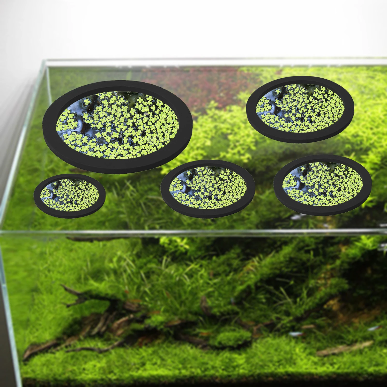 5Pcs EVA Fish Feeding Ring Aqu - Aquarium Marine Plants recension och pris