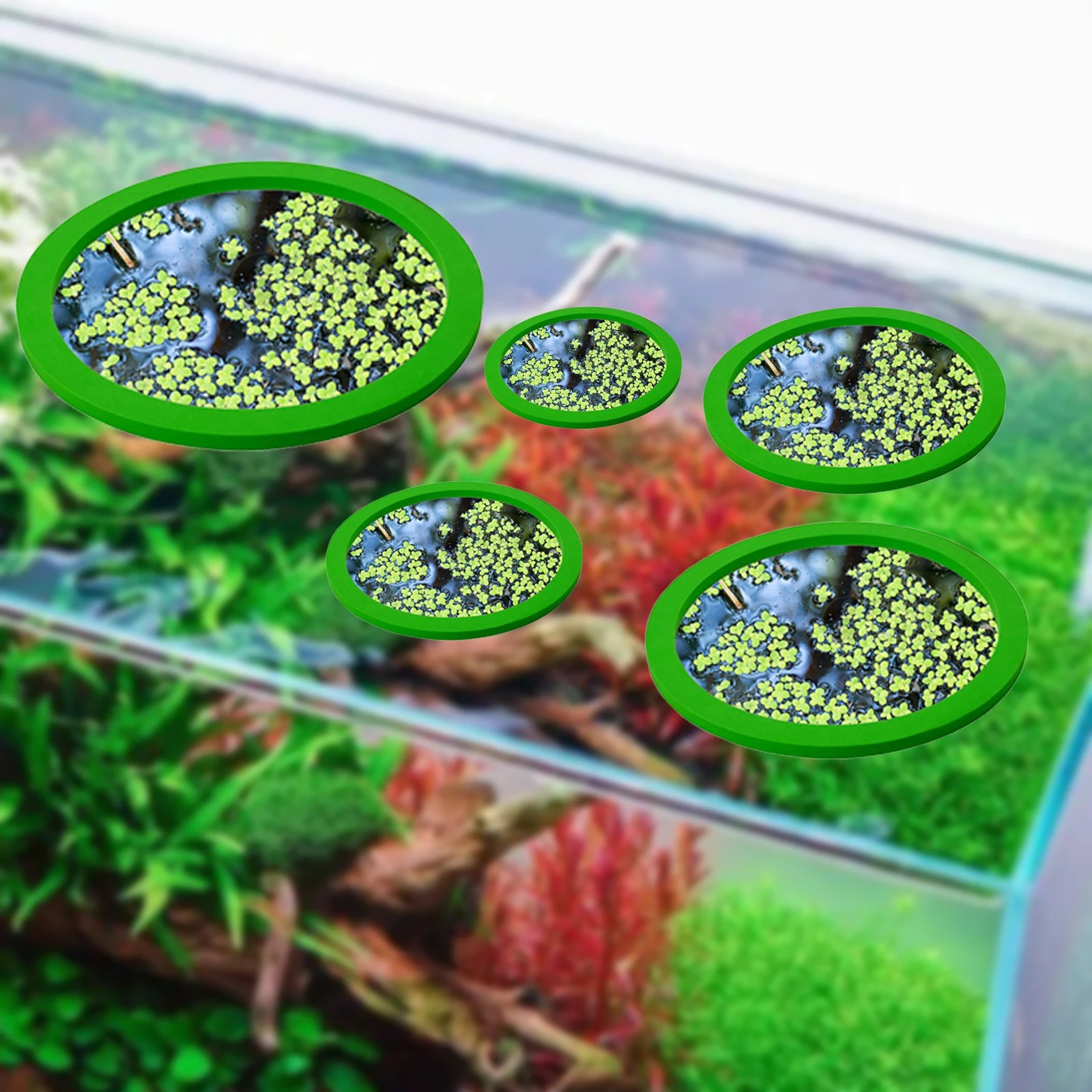 5Pcs EVA Fish Feeding Ring Aqu - Aquarium Marine Plants recension och pris