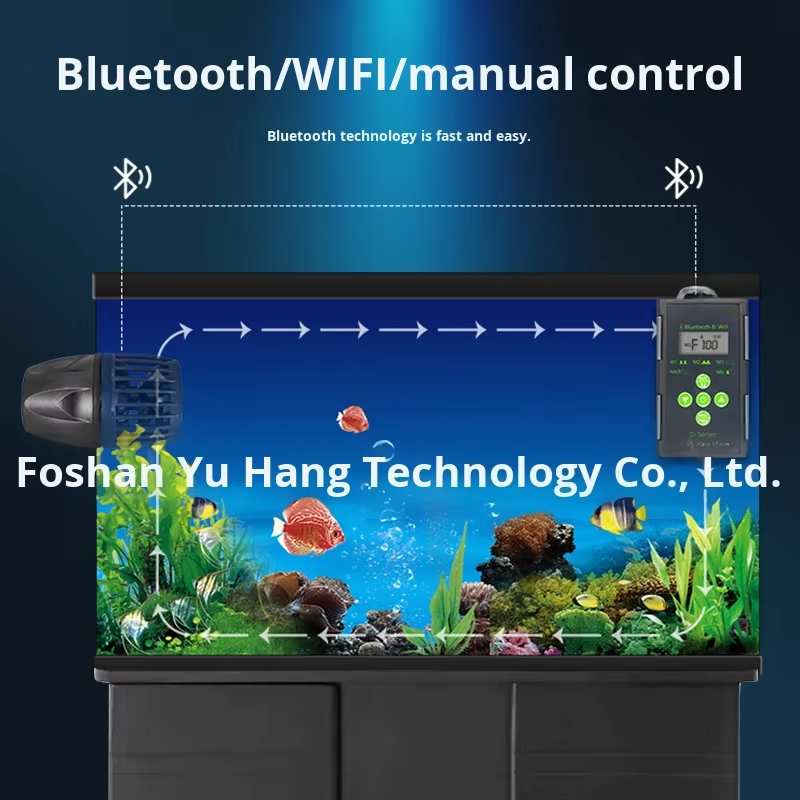 Factory direct sales supply aq - Marine Aquarium Tank For Sale recension och pris