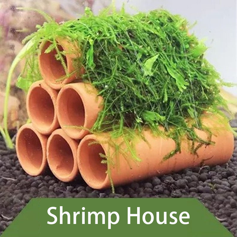 Clay Aquarium Decoration Fish  - Aquarium Innovative Marine recension och pris