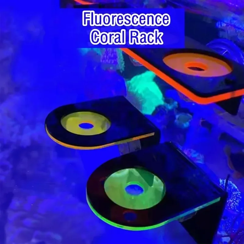 Fish Tank Acrylic Fluorescent  - Aquarium Marine Fishes recension och pris