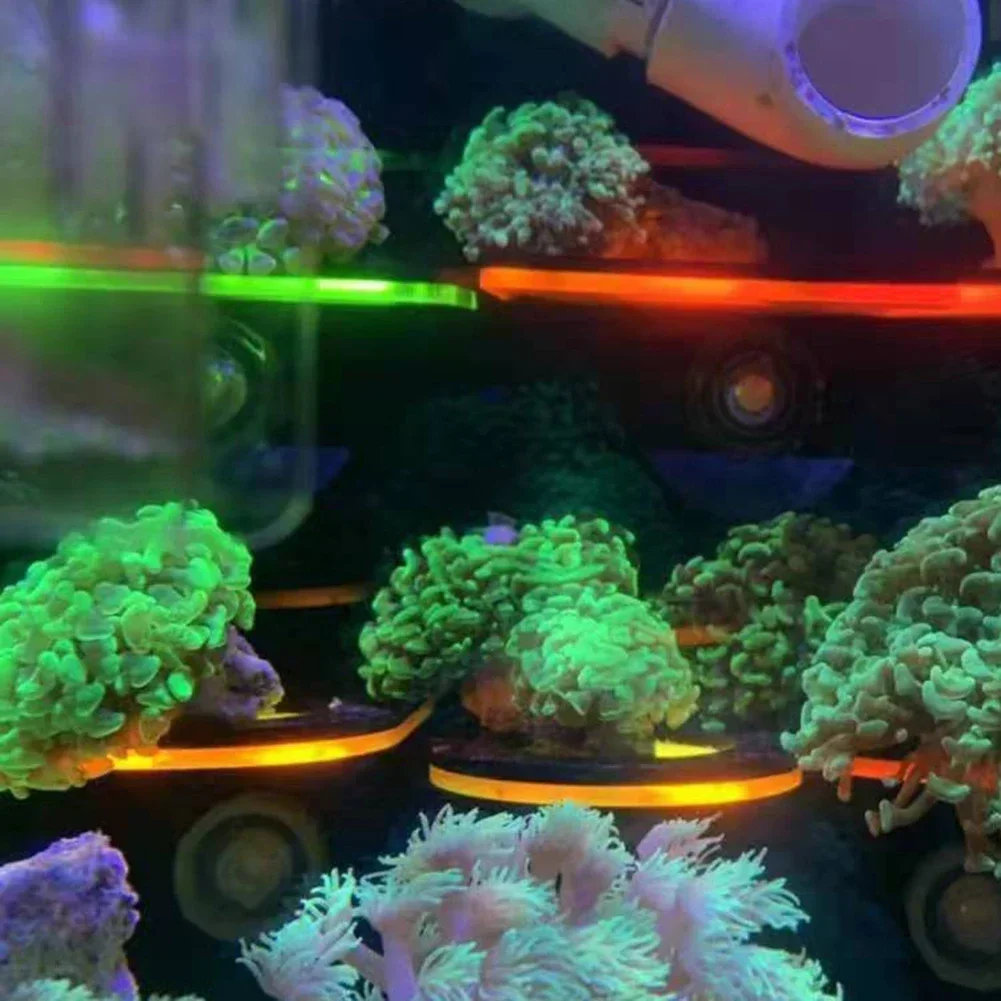 Fish Tank Acrylic Fluorescent  - Aquarium Marine Fishes recension och pris