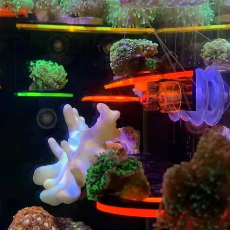 Fish Tank Acrylic Fluorescent  - Aquarium Marine Fishes recension och pris