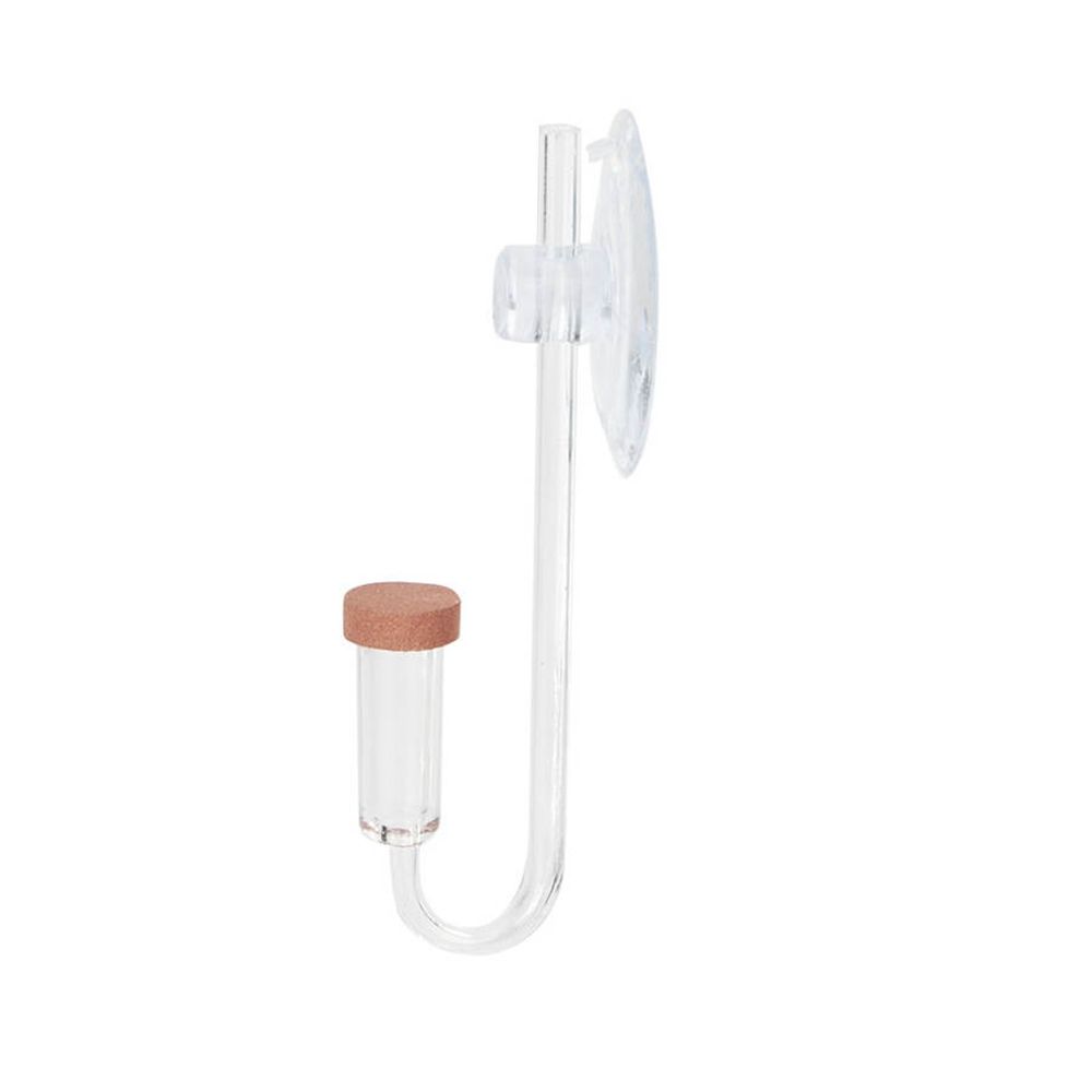Acrylic Mini Fish Tank Live Pl - Aquarium Marine Plants recension och pris